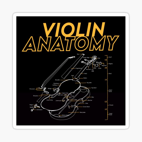 Item preview, twoset violin - violin anatomy drawing diagram limited edition designed and sold by cameronbaba.