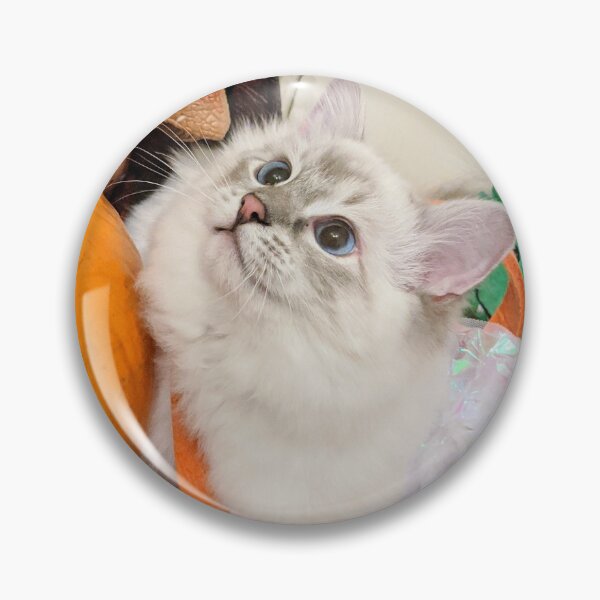 Item preview, Ragdoll cat designed and sold by Fluffycat2020.
