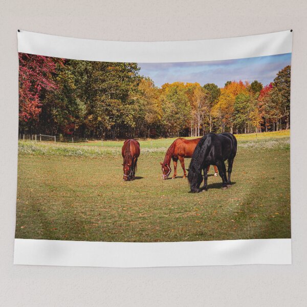 Item preview, Autumn Pasture designed and sold by Shannon Bosley.