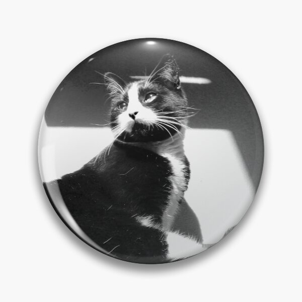 Artikelvorschau, Nur die Schwarz-Weiß-Katze entworfen und verkauft von Dash Kitten Photos.