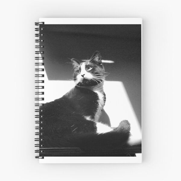 Artikelvorschau, Nur die Schwarz-Weiß-Katze entworfen und verkauft von Dash Kitten Photos.
