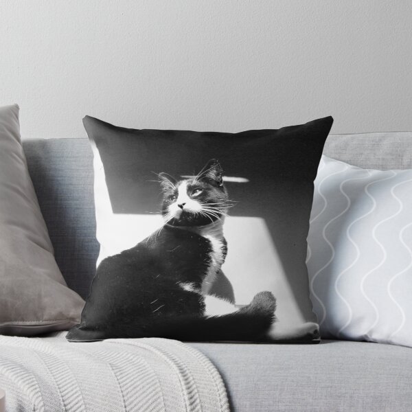 Item preview, Only The Black and White Cat designed and sold by Dash Kitten Photos.