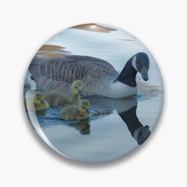 Item preview, Barnacle Goose and Goslings designed and sold by derekbeattie.