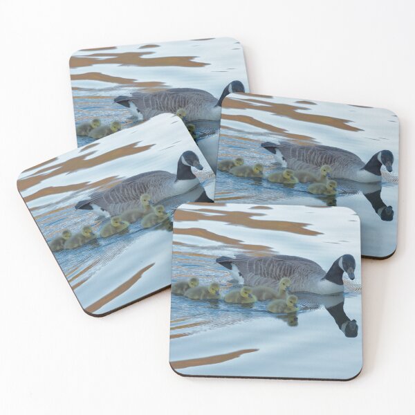 Aperçu de l'œuvre Bernache nonnette et oisons créée et vendue par derekbeattie.