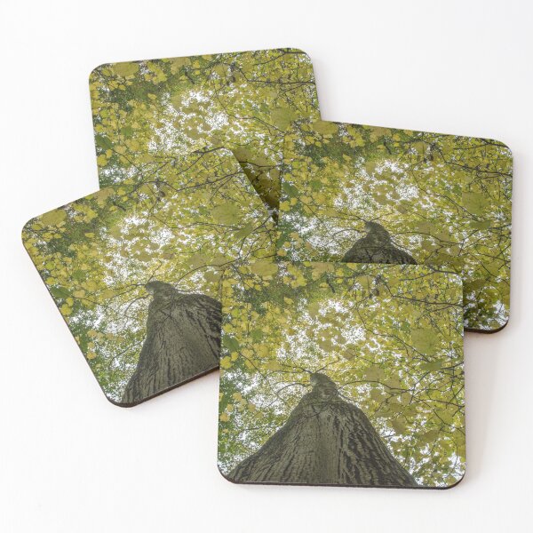 Item preview, Autumn Above designed and sold by mikebov.