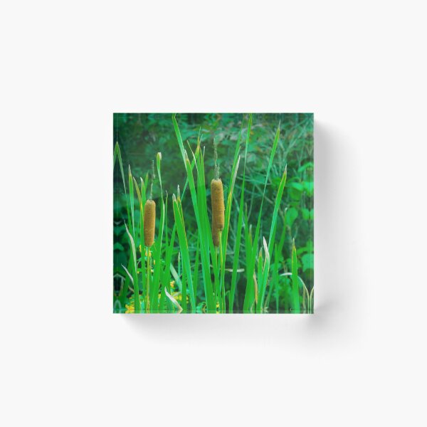 Item preview, Cat Tails designed and sold by Shannon Bosley.
