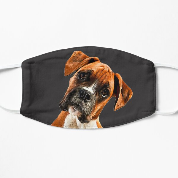 boxer with mask