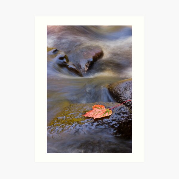 Signs of Autumn Art Print