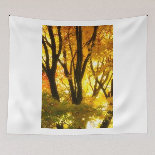 Item preview, Acer Plamatum 'senkaki' designed and sold by JerryTye.