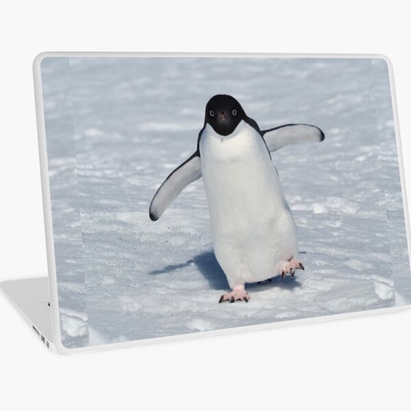 Walk This Way Laptop Skin