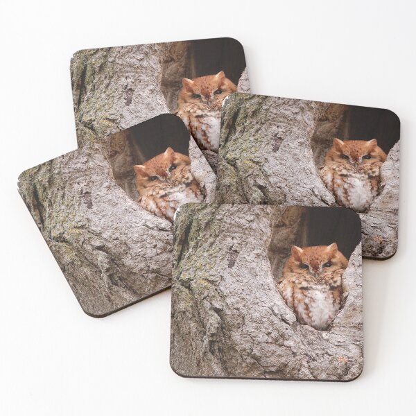 Item preview, Eastern Screech-Owl designed and sold by BRENDA DOHERTY.