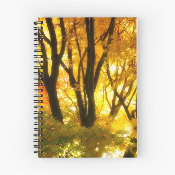 Item preview, Acer Plamatum 'senkaki' designed and sold by JerryTye.