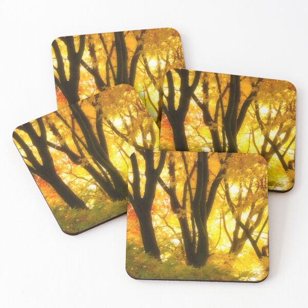 Item preview, Acer Plamatum 'senkaki' designed and sold by JerryTye.