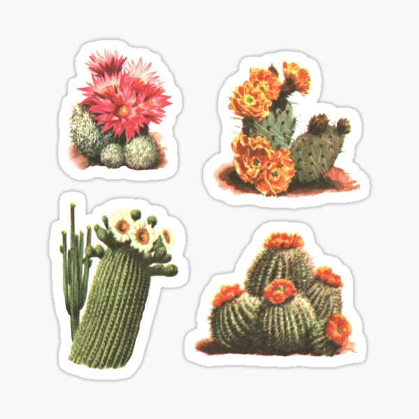 Item preview, Blooming Cactus Sticker Pack - Vintage Illustration Sticker Sheet designed and sold by elevens.