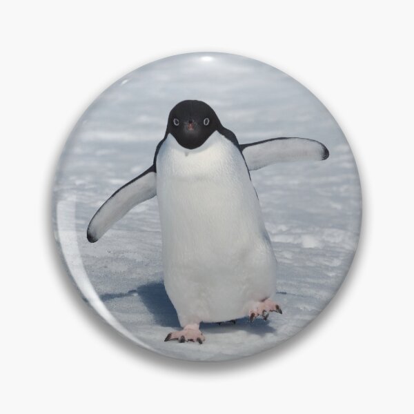 Item preview, Walk This Way designed and sold by AntarcticShop.