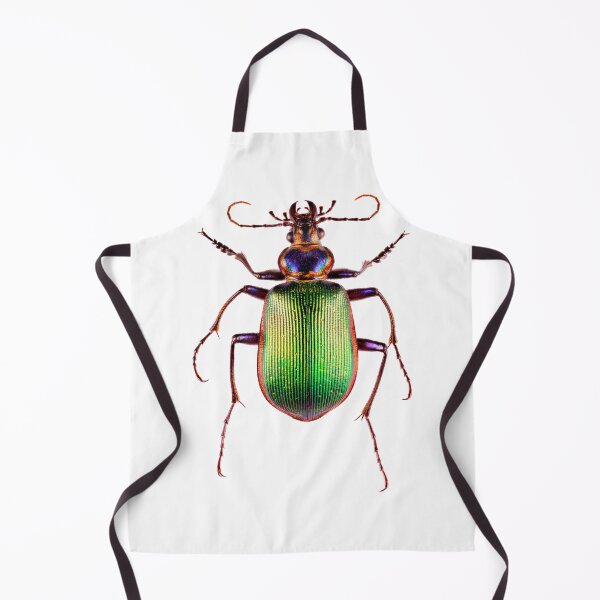 Item preview, Fiery Searcher Beetle (Calosoma scrutator) designed and sold by Tim Christensen.