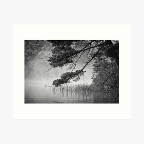 Overhanging Loon Lake Art Print
