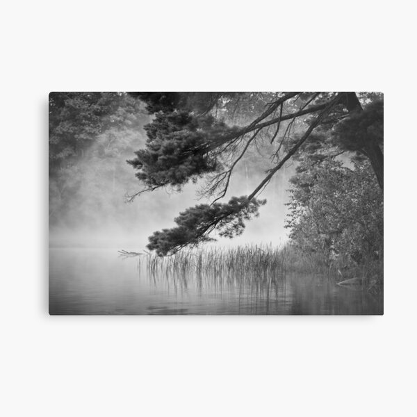Item preview, Overhanging Loon Lake designed and sold by April Koehler Photography.