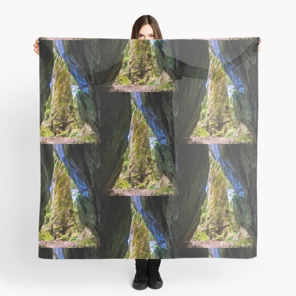 Arctic beech tree from a cave Scarf