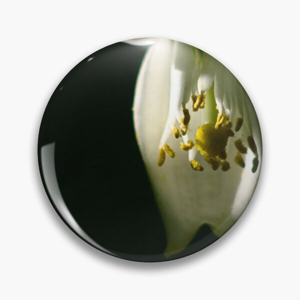Item preview, orange blossom, morning, white petals macro designed and sold by Sergio Roberto Peña y Lillo Lonconao.