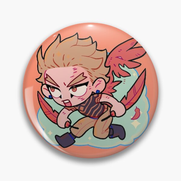 Pin on Hawks