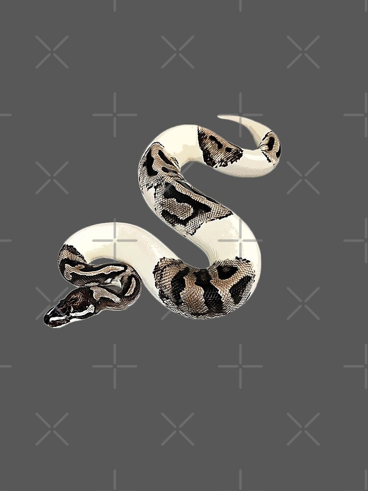 Axanthic Ball Python Miniature // Figure // Ball Python 
