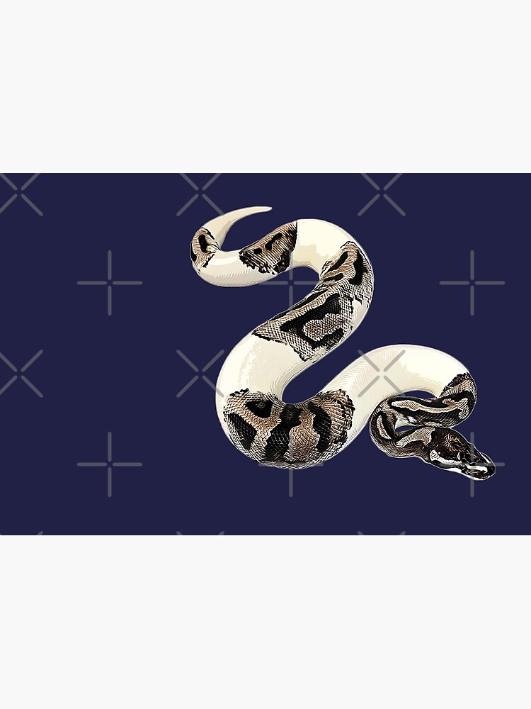 Ball Python Axanthic Pied Snake Poster for Sale by Elarex