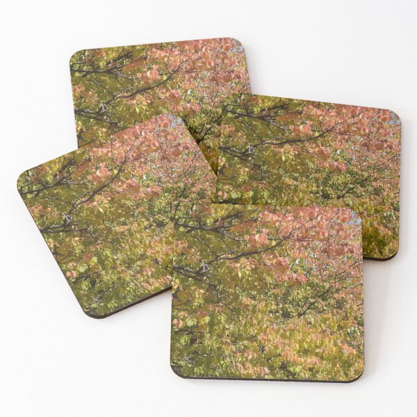 Item preview, Red, green and golden autumn leaves on a tree. designed and sold by EAnneH.