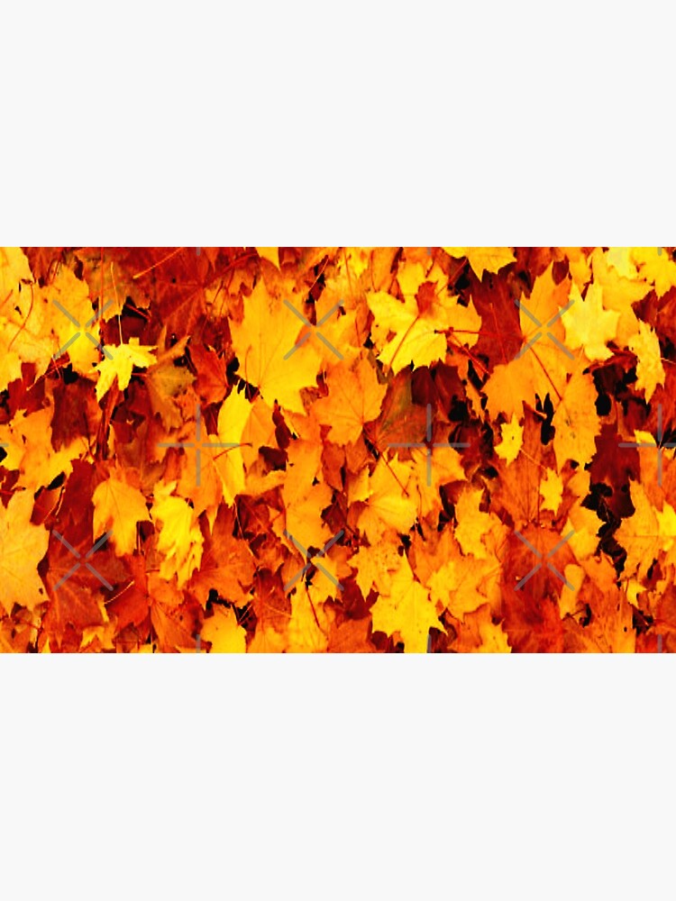 Golden Autumn Maple Leaves by RipeBananaShop