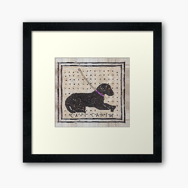 Roman CAVE CANEM Mosaic (Black Lab) Pet Mat for Sale by Goosekaid