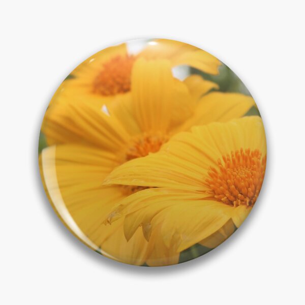 Artikelvorschau, Mexikanische Sonnenblume entworfen und verkauft von Islandjunkie09.