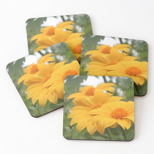 Item preview, Mexican Sunflower designed and sold by Islandjunkie09.