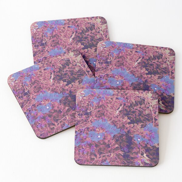 Item preview, Blooming pink&blue Bougainvillea designed and sold by SeedToSoil.