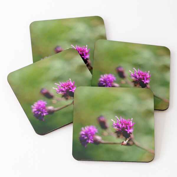 Item preview, Little Thistle designed and sold by BattleMountain.