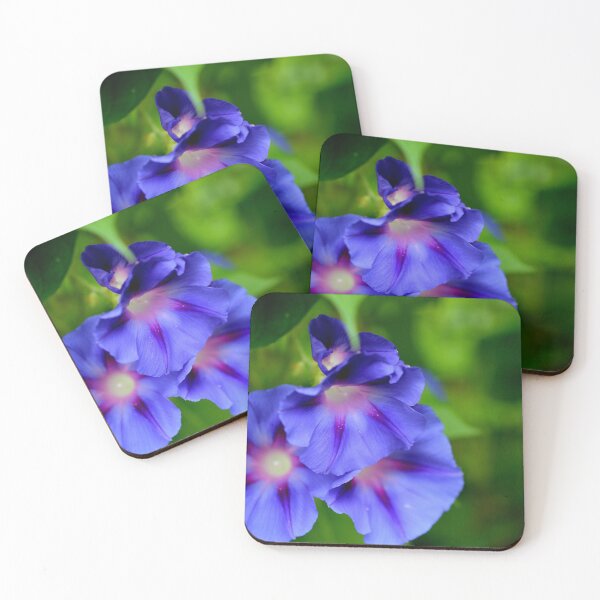 Item preview, What's the Story Morning Glory designed and sold by BattleMountain.