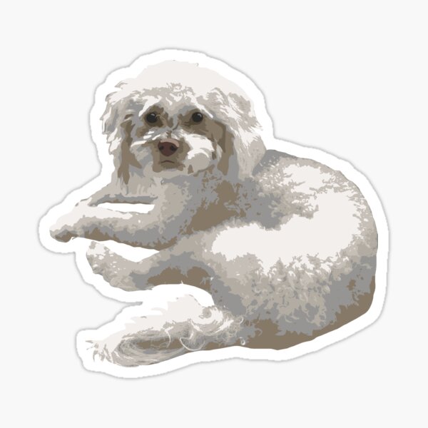 Item preview, Relaxing Maltipoo designed and sold by CJS-Art.