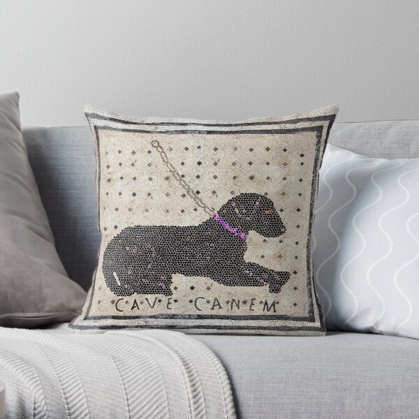 Roman CAVE CANEM Mosaic (Black Lab) Pet Mat for Sale by Goosekaid