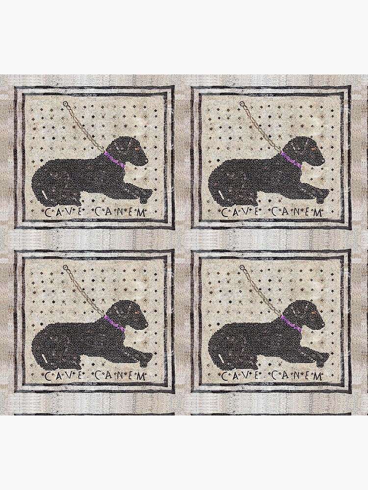 Roman CAVE CANEM Mosaic (Black Lab) Pet Mat for Sale by Goosekaid