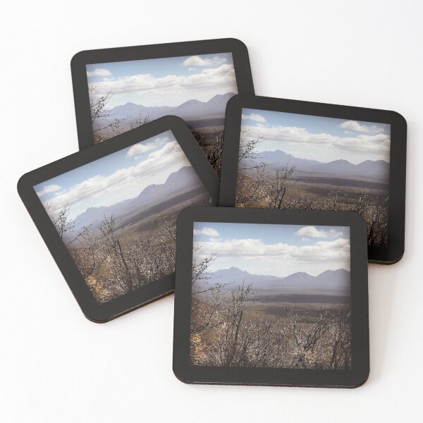 Landscape Coasters (Set of 4)
