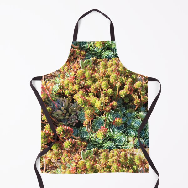 Item preview, Succulent Party designed and sold by WinterRabbitArt.