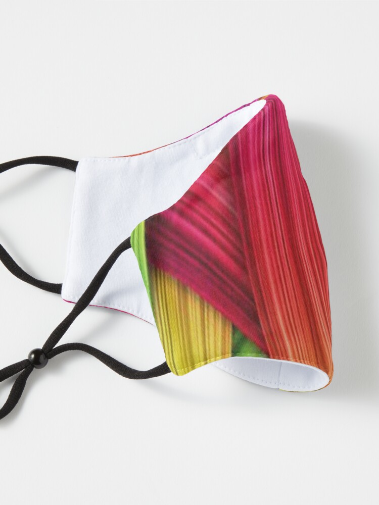 Alternate view of Brush Strokes design Mask