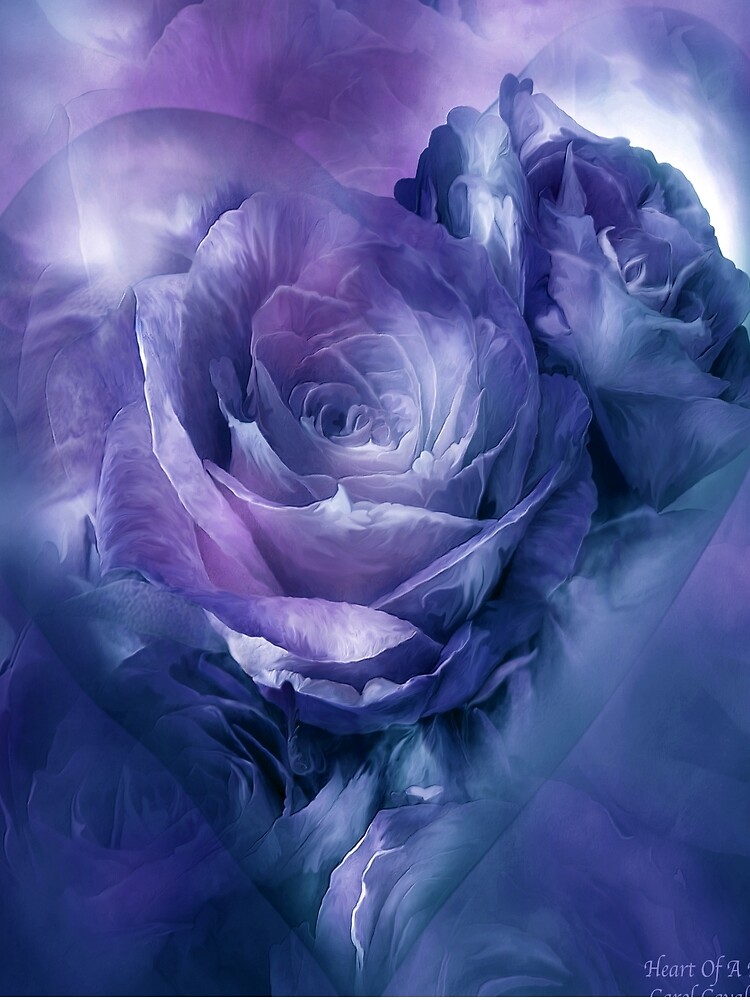 Heart Of A Rose - Lavender Blue by carolcavalaris