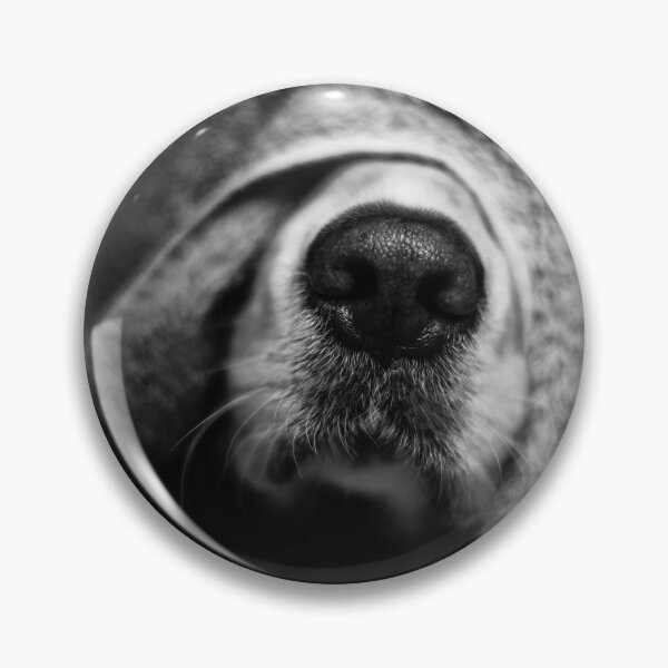 Item preview, When there is nothing left to hide ,there is nothing left to seek designed and sold by Tasos Hatzikirou.