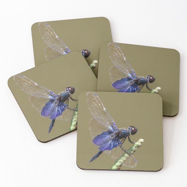 Item preview, Sapphire Flutterer  designed and sold by Wanderingeagles.