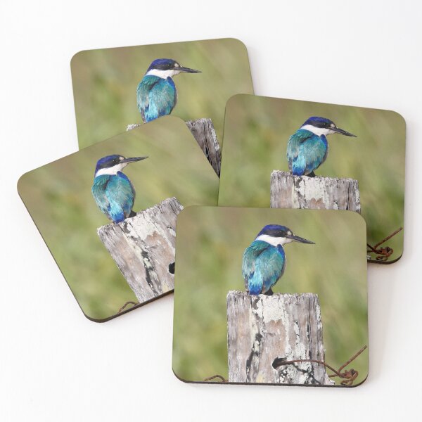 Item preview, Forrest Kingfisher  designed and sold by Wanderingeagles.