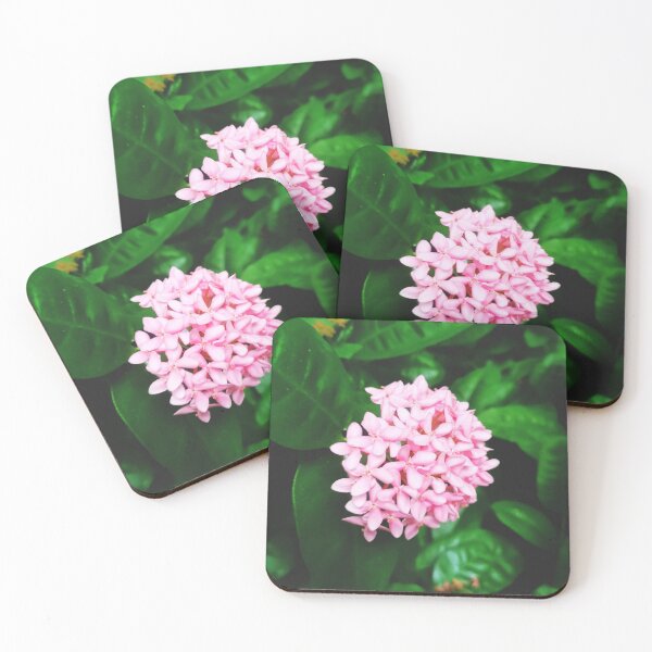 Item preview, pink flowers designed and sold by OMdesigns93.