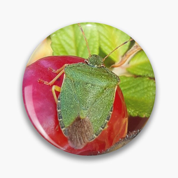 Item preview, Green beetle on red berry designed and sold by Emma  Amies.