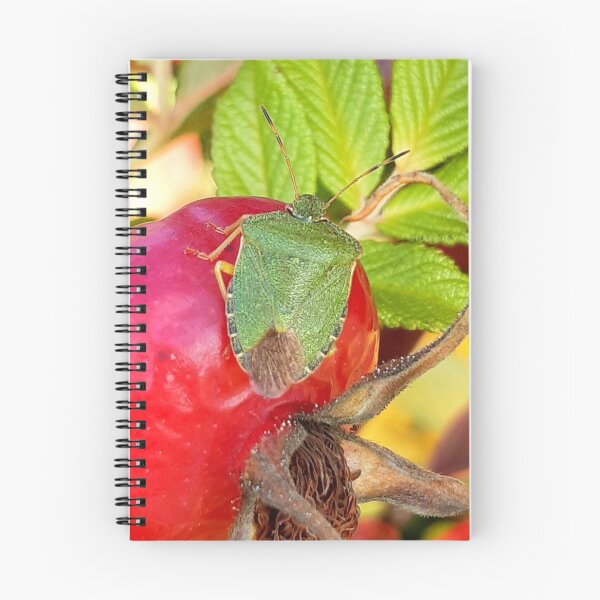 Item preview, Green beetle on red berry designed and sold by Emma  Amies.