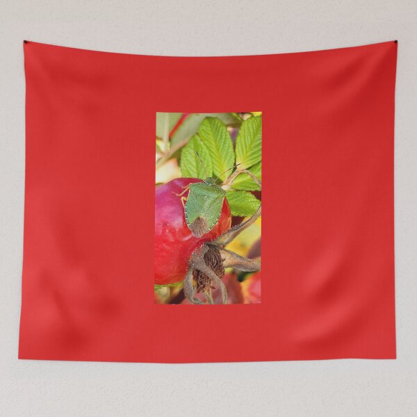 Item preview, Green beetle on red berry designed and sold by Emma  Amies.