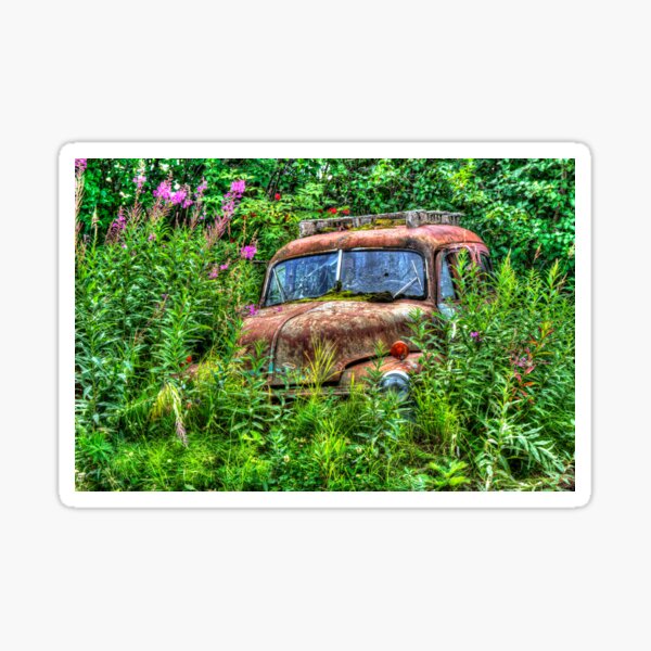 An Old Relic Named Bonnie Sticker